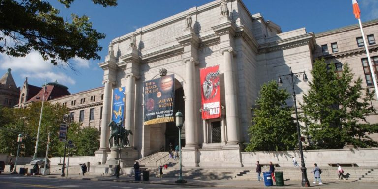 AMERICAN MUSEUM OF NATURAL HISTORY