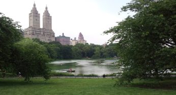 CENTRAL PARK
